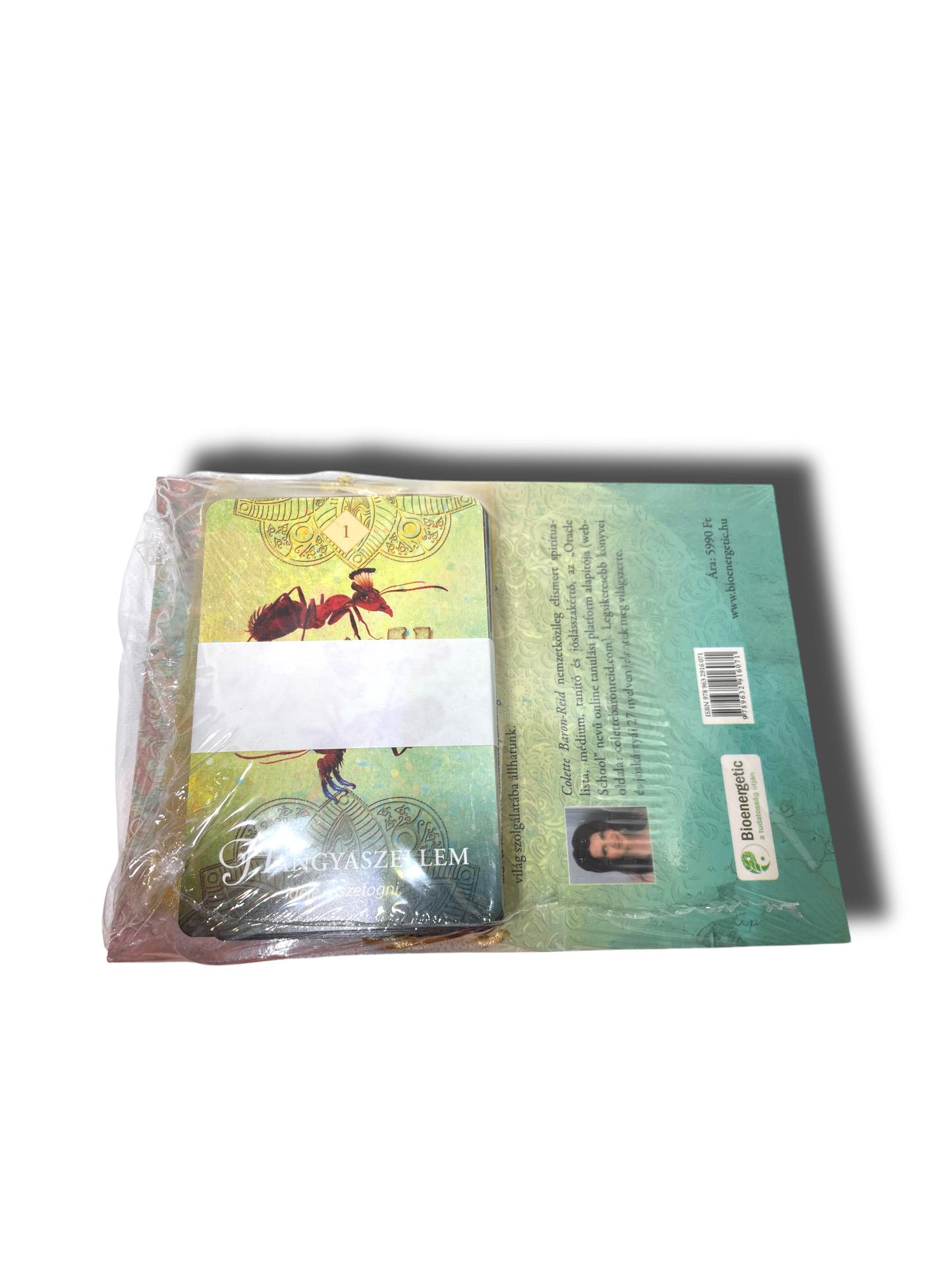 Colette Baron Reid: Segítő Állataink Szellemének Üzenete